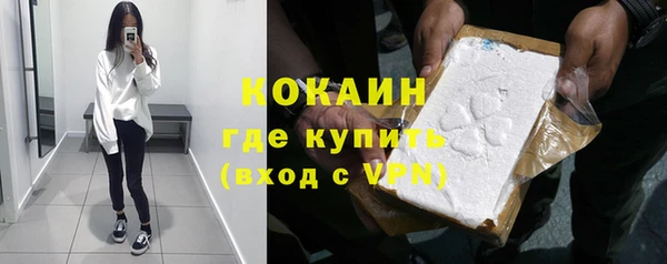дживик Абаза