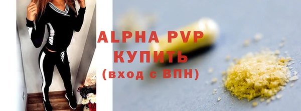 дживик Абаза