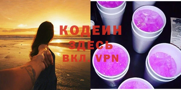 PSILOCYBIN Ельня