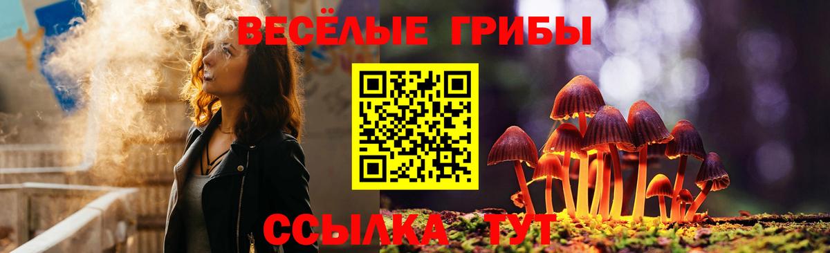 Псилоцибиновые грибы мухоморы  Вход с VPN  Череповец 